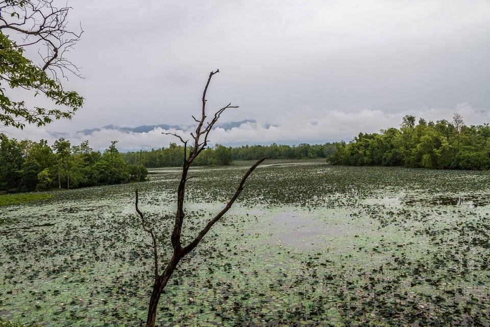 Ghodaghodi's Guardians: Communities Restoring a Ramsar Wetland at Watershed Level