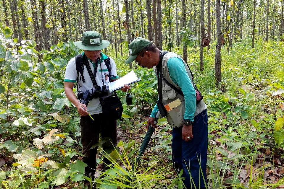 Habitat Suitability Assessment for Tiger in Trijuga Forest, East Nepal